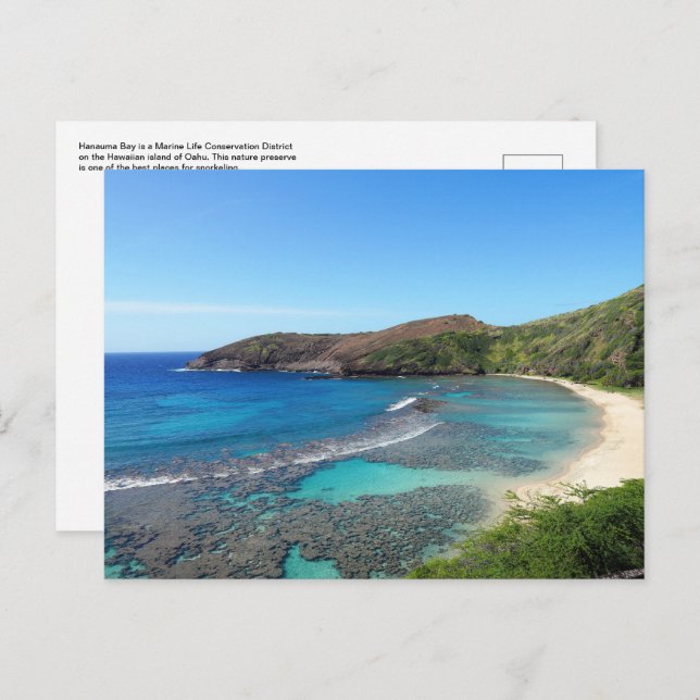 Hawaiian Postcard (Front/Back)