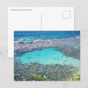 Hawaiian Postcard