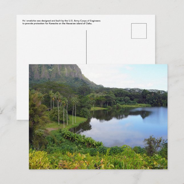 Hawaiian Postcard (Front/Back)