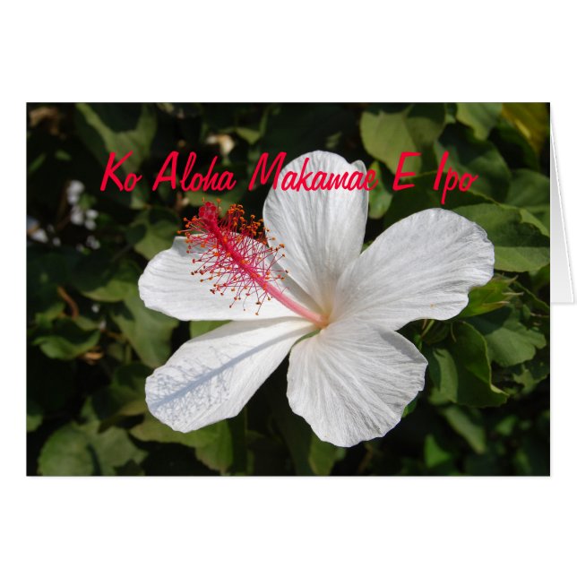 Hawaiian Precious Love White Hibiscus Card (Front Horizontal)