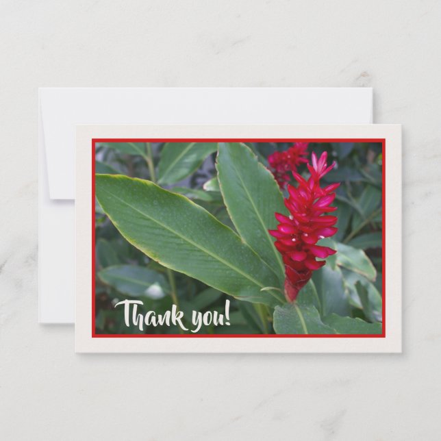 Hawaiian Red Flower Thank You Card (Front)