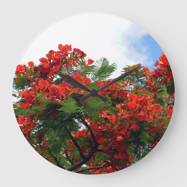 Hawaiian Royal Poinciana Flowering Tree Large Clock (Front)