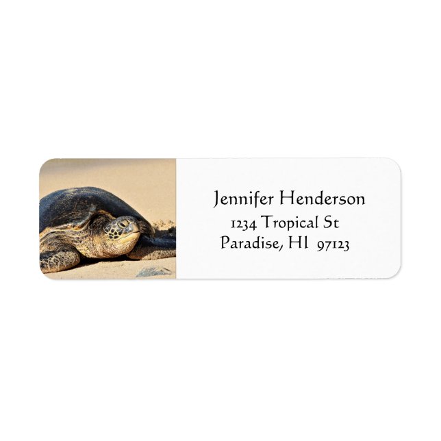 Hawaiian Sea Turtle Address Labels (Front)