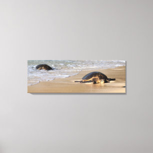 Hawaiian Sea Turtle on Beach Canvas Print