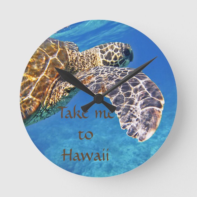 Hawaiian Sea turtle swimming Round Clock (Front)