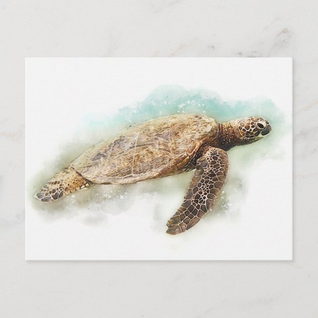 Hawaiian Sea Turtle Watercolor Postcard (Front)