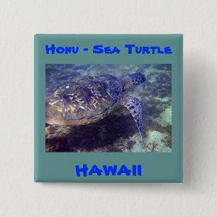 Hawaiian sea turtles 15 cm square badge