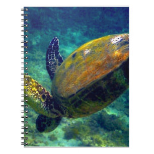 Hawaiian sea turtles notebook