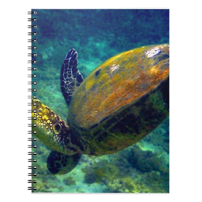 Hawaiian sea turtles notebook (Front)