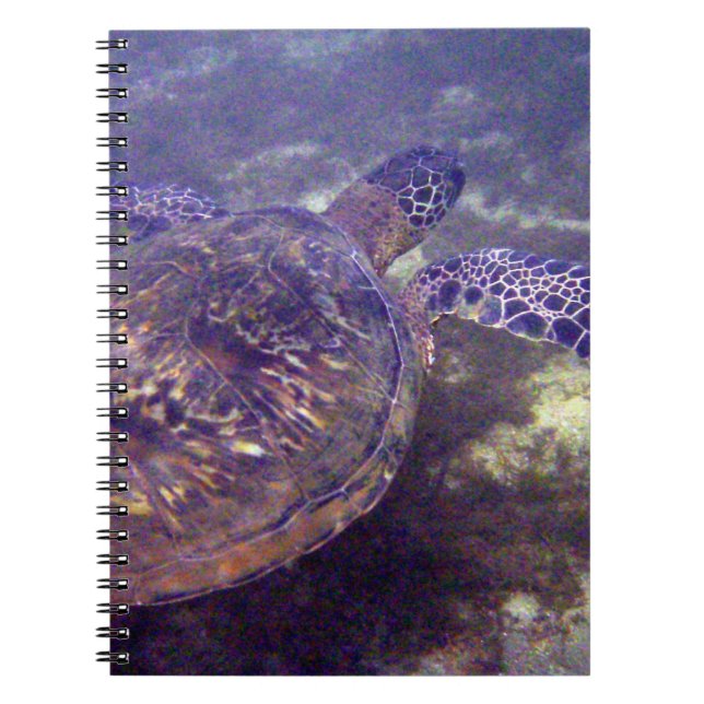 Hawaiian sea turtles notebook (Front)