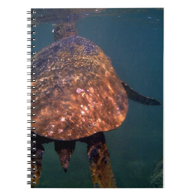 Hawaiian sea turtles notebook (Front)