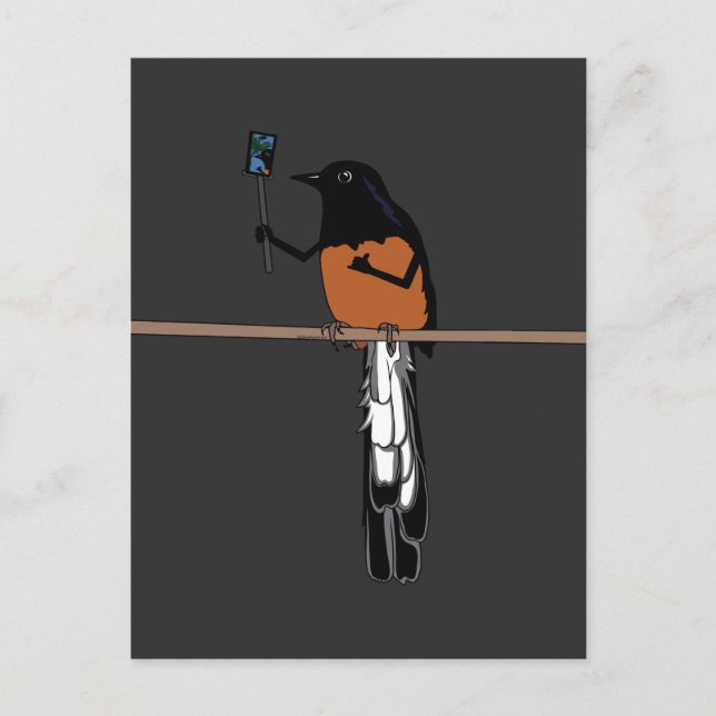 Hawaiian Shama Bird Selfie  Postcard (Front)