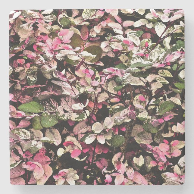 "HAWAIIAN SNOWBUSH" /PINKS, GREENS AND WHITES STONE COASTER (Front)