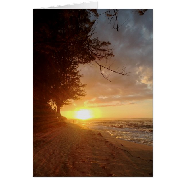Hawaiian Sunset (Front)