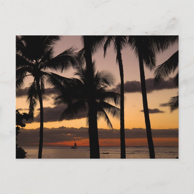 Hawaiian Sunset Postcard (Front)