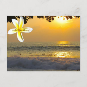 Hawaiian Surfers Postcard