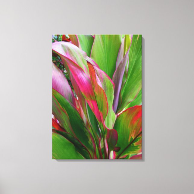 Hawaiian Ti Plant Canvas Print (Front)