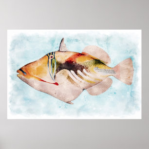 Hawaiian Triggerfish Fish Watercolor Poster