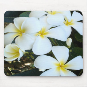 Hawaiian tropical flowers mouse pad