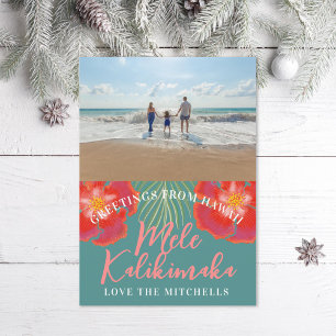 Hawaiian Tropical Island Holiday Hibiscus Palm