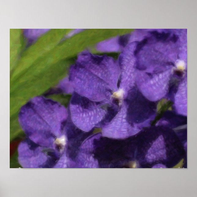 Hawaiian Tropical Orchid Poster (Front)