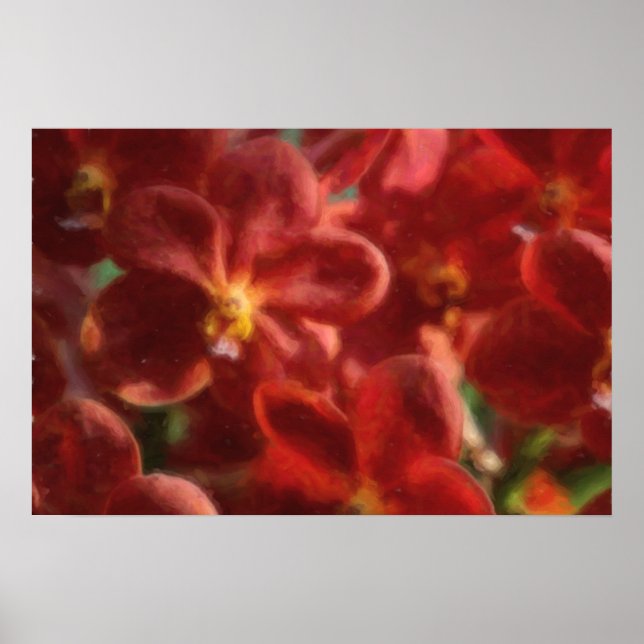 Hawaiian Tropical Orchid Poster (Front)