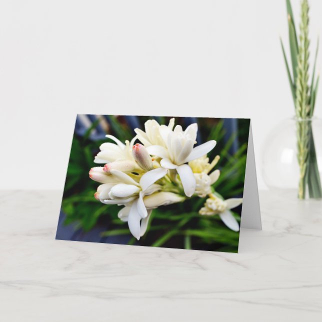 Hawaiian Tuberose Cluster Card (Front)