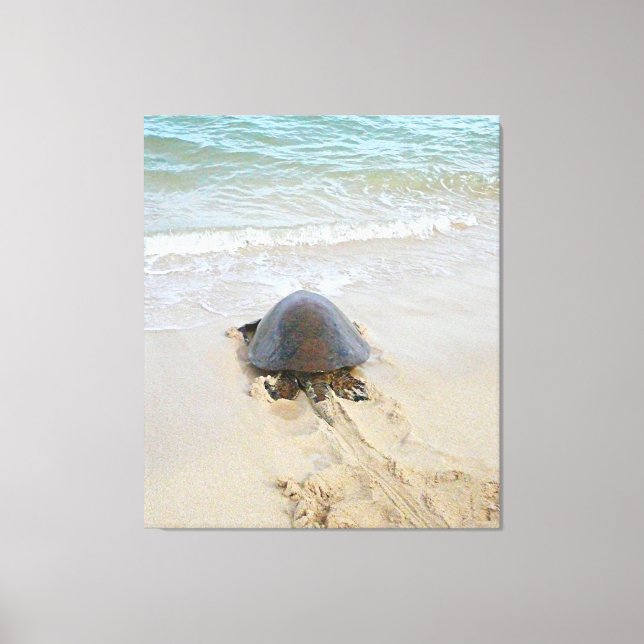 Hawaiian turtle on the beach canvas print (Front)