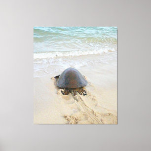 Hawaiian turtle on the beach canvas print