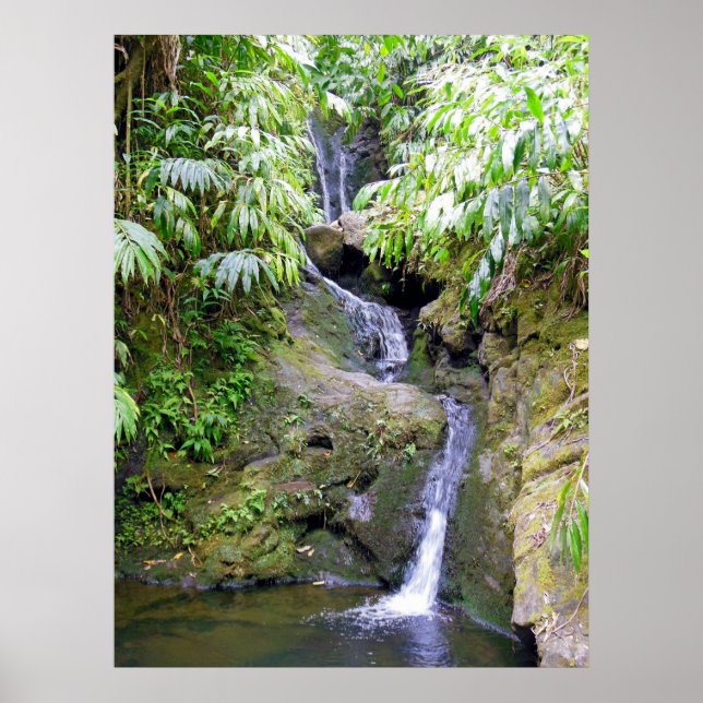 Hawaiian Waterfall Poster (Front)