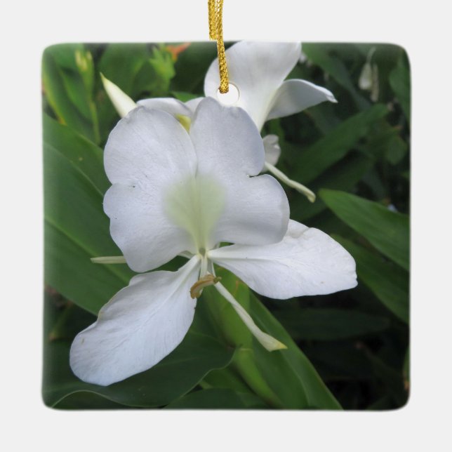 Hawaiian White Ginger Flower Ceramic Ornament (Front)