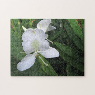 Hawaiian White Ginger Flower Jigsaw Puzzle