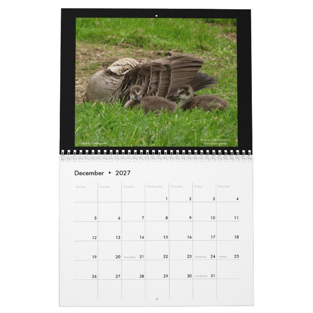 Hawaii's Jewels 2021 Calendar (Dec 2027)