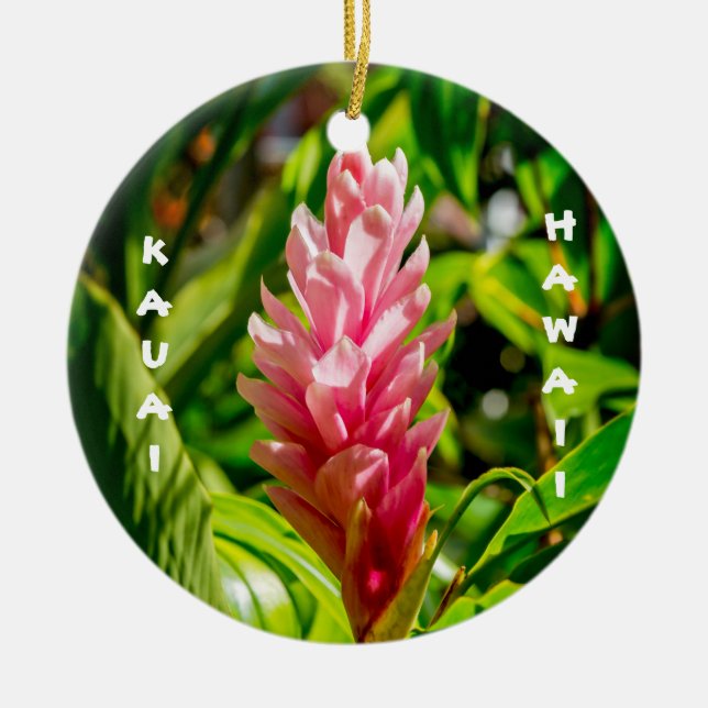 Hawaii's Plumeria and Ginger in Pink Ceramic Tree Decoration (Front)