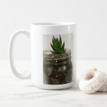 Hawarthia Succulent   Coffee Mug<br><div class="desc">This small Hawarthia plant is one of the treasures of my succulent collection.

Shared with you on a mug.

Perfect gift for any succulent collector or gardener.

A gift for Mothers,  Fathers,  birthdays or any special occasion.</div>