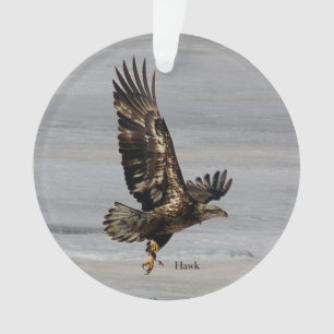 Hawk arcylic ornament