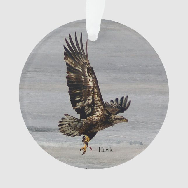 Hawk arcylic ornament (Front)