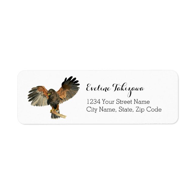 Hawk Bird Nature Watercolor Return Address (Front)