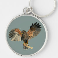 Hawk Bird Watercolor Painting