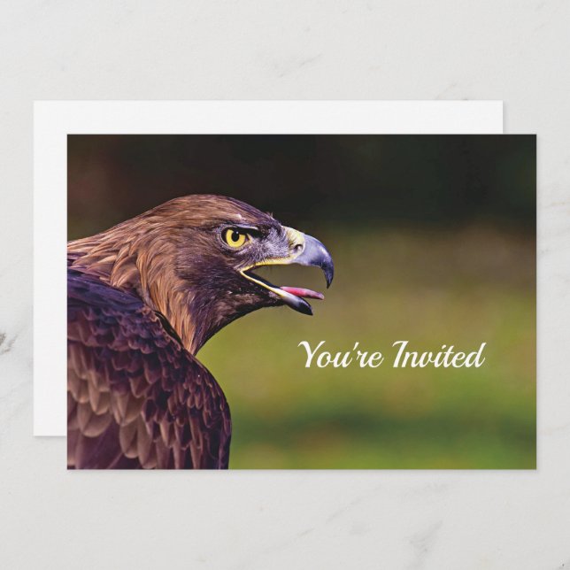 Hawk Birthday Invitation (Front/Back)