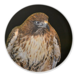 Hawk Ceramic Knob