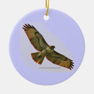 Hawk & Duck holiday ornament