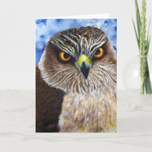 Hawk Eyes Greeting Card