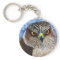 Hawk eyes Key Chain