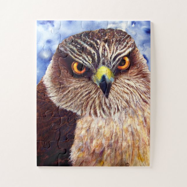 Hawk Eyes Puzzle (Vertical)