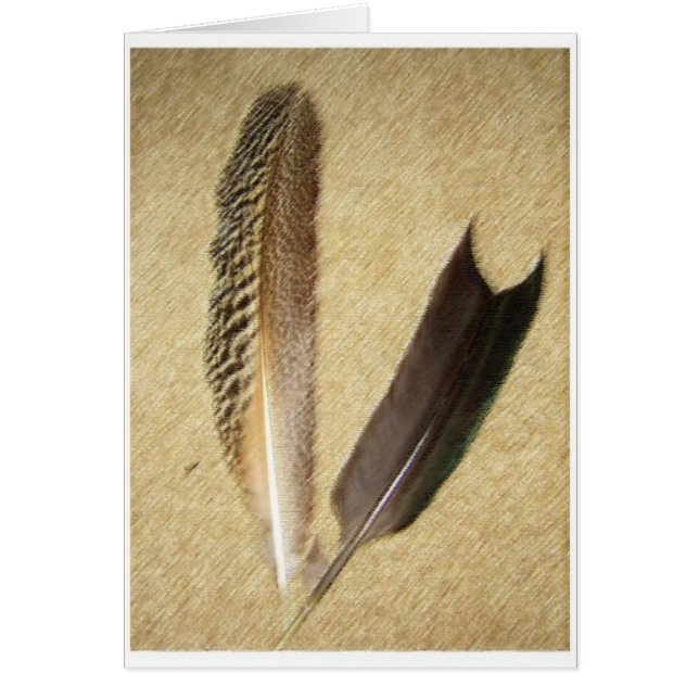 Hawk Feathers (Front)