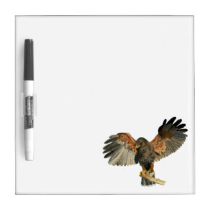 Hawk Flapping Wings Watercolor Painting Dry Erase Board