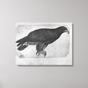 Hawk, from the The Vallardi Album Canvas Print