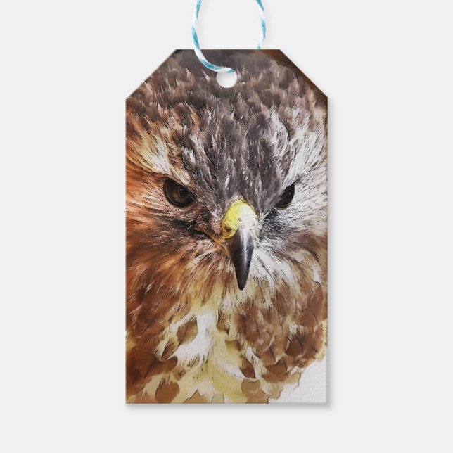 HAWK GIFT TAGS (Front)