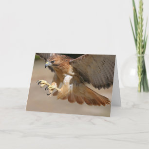 Hawk Greeting Card
